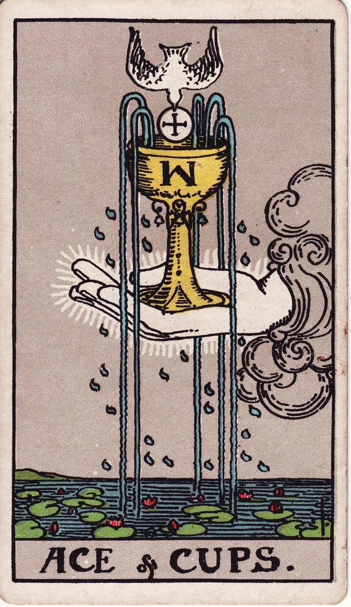 Ace of Cups tarot card